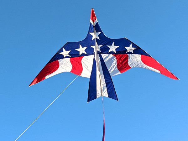 11.5ft Patriotic Thuinderbird