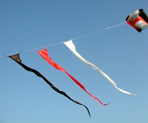 25ft Banner Tail