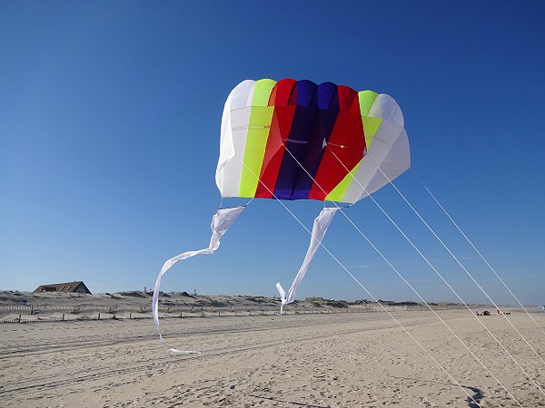 25ft Banner Tail