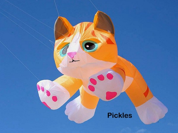 8ft Kitten