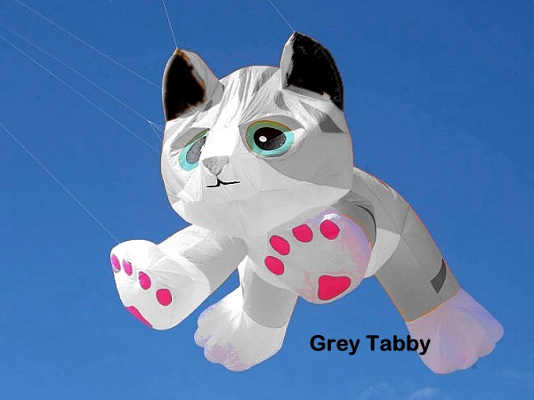 8ft Kitten