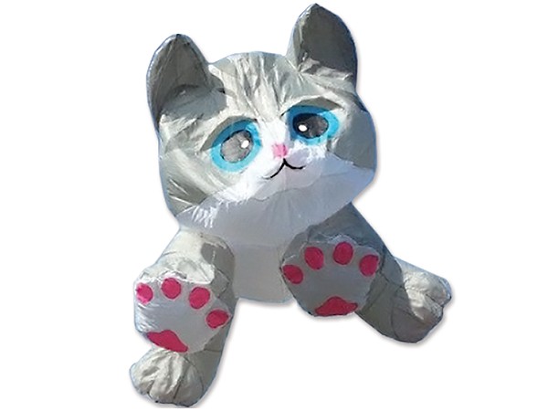 8ft Kitten