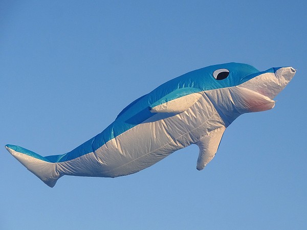 13ft Dolphin