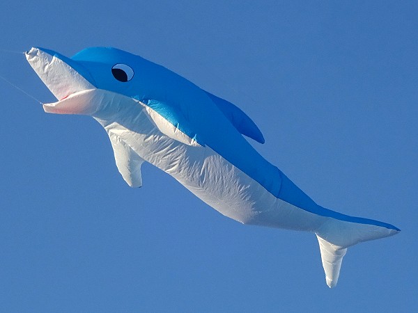 13ft Dolphin