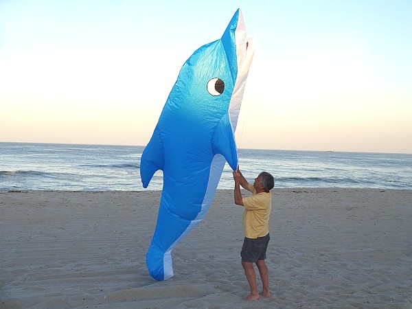 13ft Dolphin