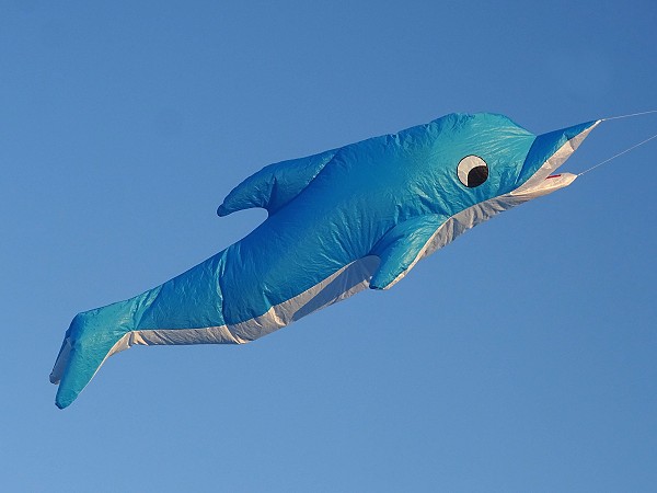 13ft Dolphin