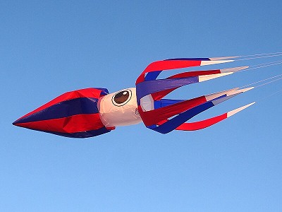 11ft Squid
