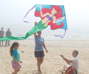 EasyFly Kids Kites