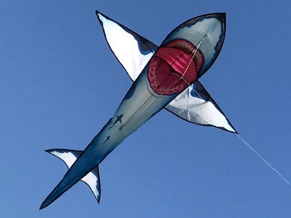 Large 3D Shark Kite 51 x 59 Inch New 