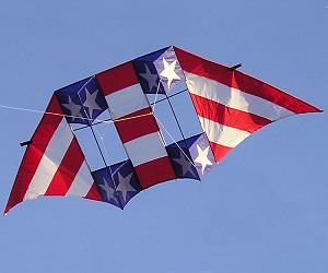 Case Delta Box Kite Rocky Mountain Delta-Conyne 93x40" RipStop Nylon Tails 