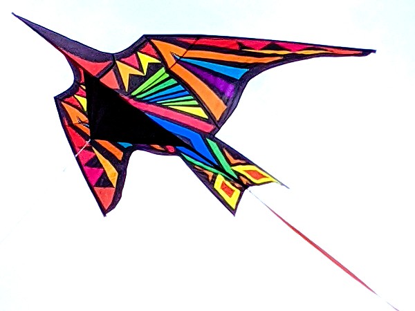 11.5ft Rainbow Thunderbird
