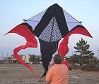 Giant Tri-Tail Delta