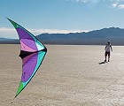 Trick Stunt Kites