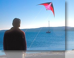 All Round Stunt Kites