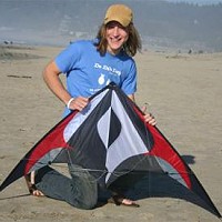 Beetle Stunt Kite