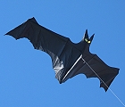 Black Bat