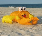Billy The Crab