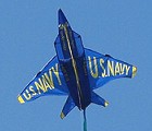 3D Blue Angel