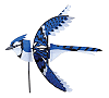 Eastern Blue Jay