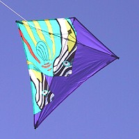 65 inch Bora Bora Diamond