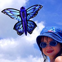 Blue Karner Butterfly