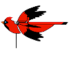 Flying Cardinal