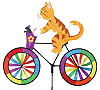 Bicycling Kitty