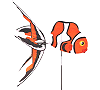 Clown Fish