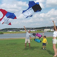 Cody Box Kite