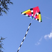 9ft Levitation Delta