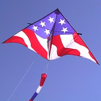 Stars and Stripes 9 foot Delta