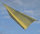 Paper Airplane Delta