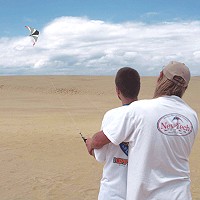 Desire UL Stunt Kite
