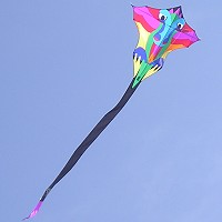 Dragon Diamond with 20 ft tail
