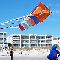 Dyna Kite Stunt Masters