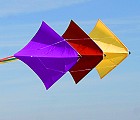 Dyna Kite Tri Masters