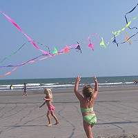 Dyna Kite Stunt Masters
