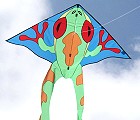 Frog Surefly Delta