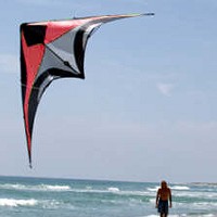 French Connection Stunt Kite