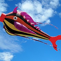 9ft Fugu