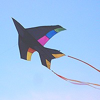Fighter Jet