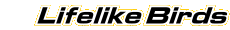 Jackite Lifelike Birds