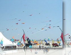Kites at Wildwood 
	  NJ