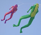 Le Frog