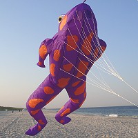 Spotted Jumper Le Frog