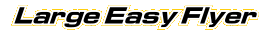 Large Easy Flyer
