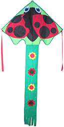 Ladybug