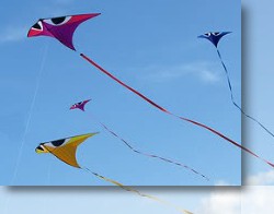Light Wind Kites