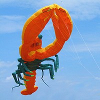 Orange Mega Lobster