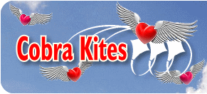 Cobra Kites